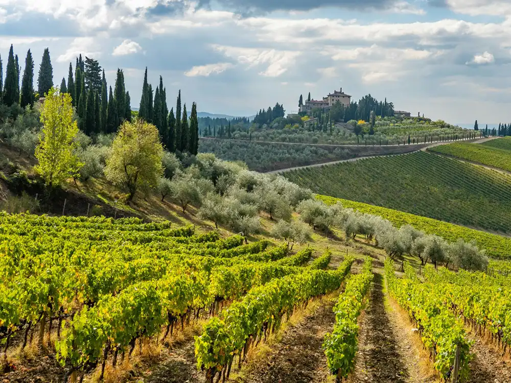 around arezzo - nei dintorni di arezzo radda in chianti - valle del chianti - chianti valley