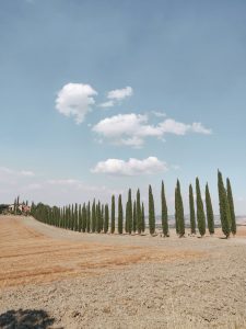 VAL D'ORCIA CIPRESSI - Orcia Valley