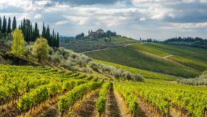 The Chianti Valley - VALLE DEL CHIANTI RADDA IN CHIANTI