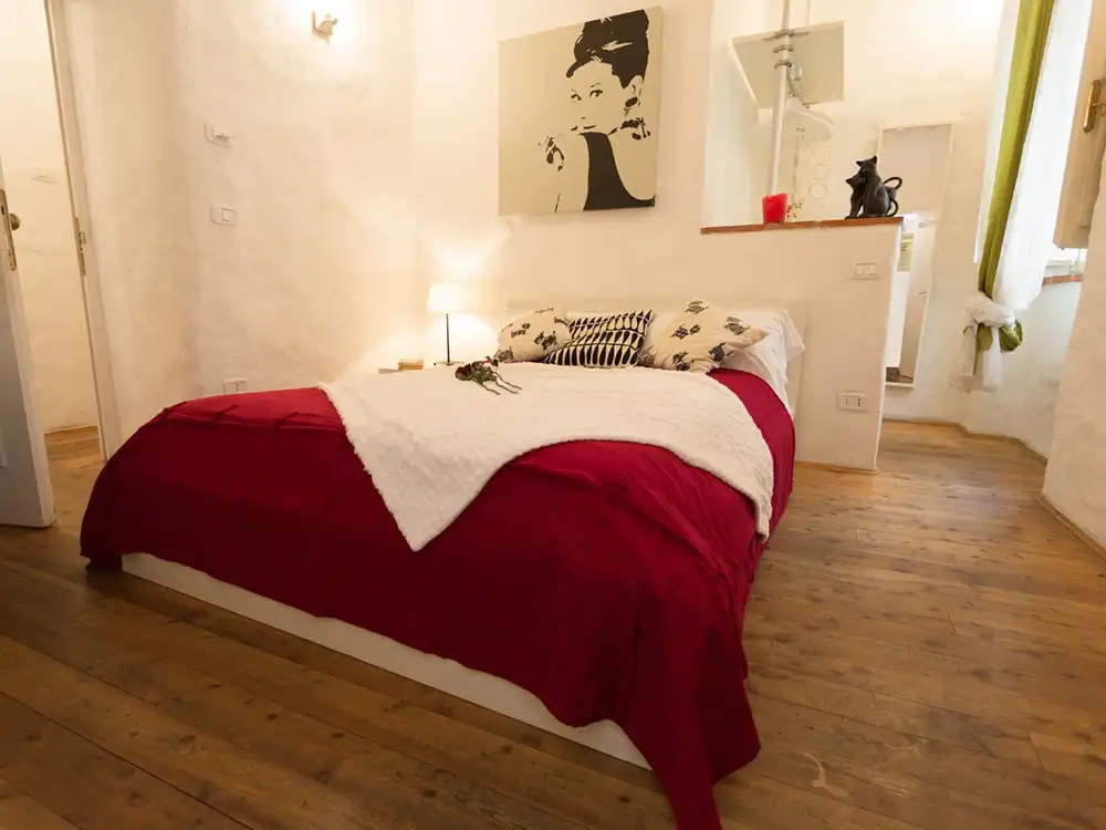 camere holly
